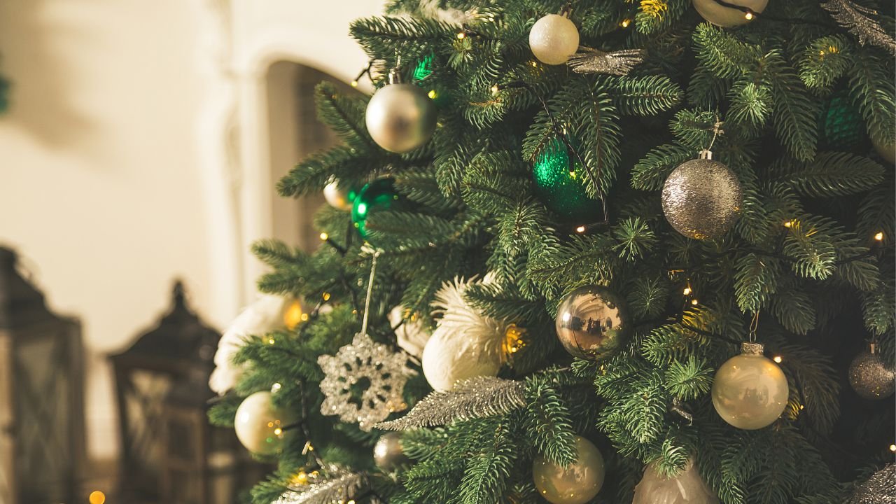 Árvore dos desejos: aprenda o que é e como decorar para o Natal de forma  inovadora -